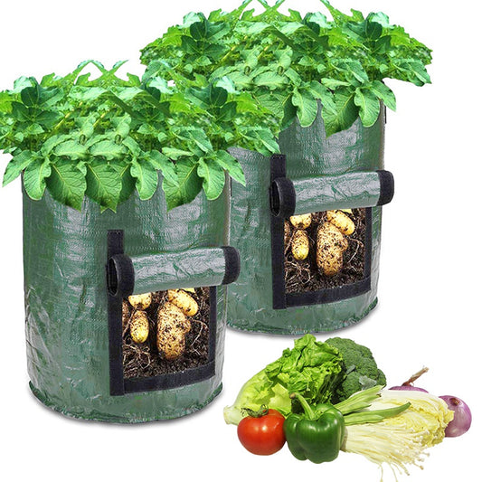 Bolsas de Cultivo Transpirable