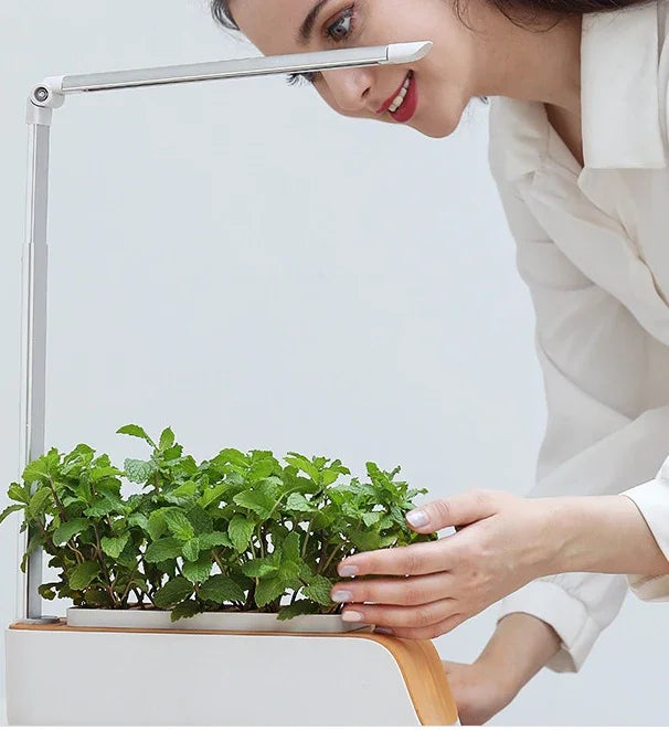 Maceta Hidropónica con Luz LED