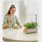 Maceta Hidropónica con Luz LED