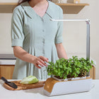 Maceta Hidropónica con Luz LED